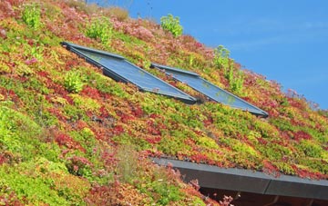 Offord Darcy living roof systems