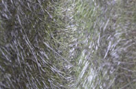 Offord Darcy fibreglass roof work