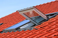Offord Darcy roof window